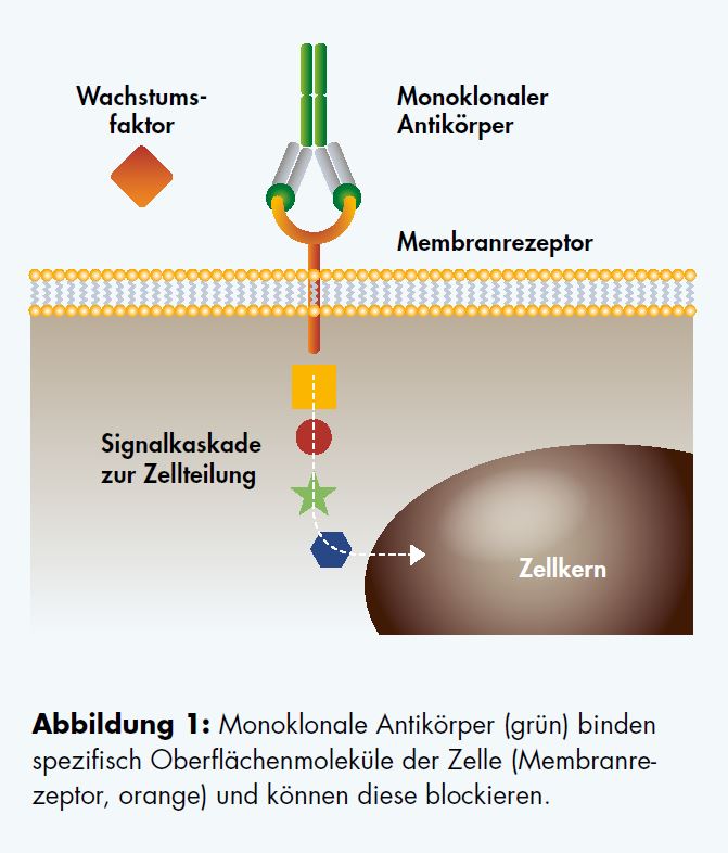 10 Jahre Onkologie Im LIMMI Ein Fachbereich Im Wandel Spital Limmattal