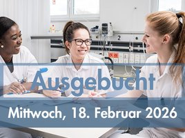 Berufsinfo im Februar