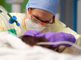 Intensivmedizin