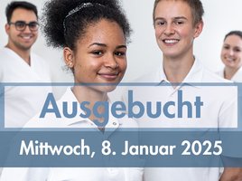 Berufsinfo im Januar